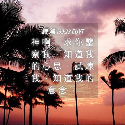 Picture 04 - 詩 篇 139:23 CUVT - 神 啊 ， 求 你 鑒 察 我 ， 知 道 我 - Bible Verse Picture