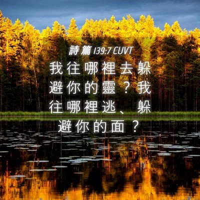 Picture 04 - 詩 篇 139:7 CUVT - 我 往 哪 裡 去 躲 避 你 的 靈 ？ 我 - Bible Verse Picture