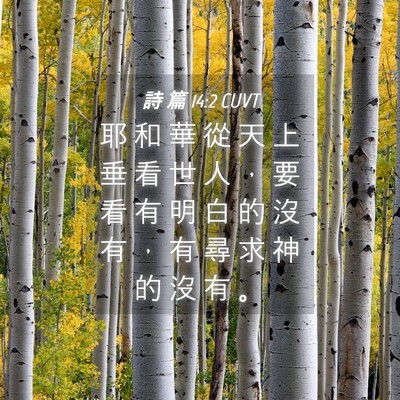 Picture 04 - 詩 篇 14:2 CUVT - 耶 和 華 從 天 上 垂 看 世 人 ， 要 - Bible Verse Picture