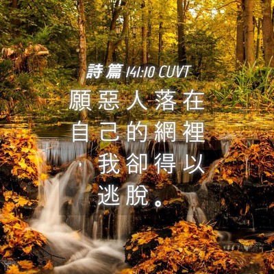 Picture 04 - 詩 篇 141:10 CUVT - 願 惡 人 落 在 自 己 的 網 裡 ， 我 - Bible Verse Picture