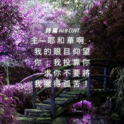 Picture 04 - 詩 篇 141:8 CUVT - 主 ─ 耶 和 華 啊 ， 我 的 眼 目 仰 - Bible Verse Picture