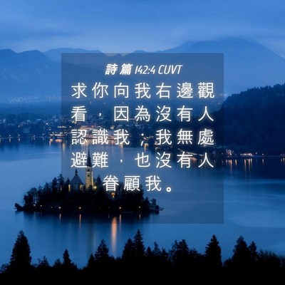 Picture 04 - 詩 篇 142:4 CUVT - 求 你 向 我 右 邊 觀 看 ， 因 為 沒 - Bible Verse Picture
