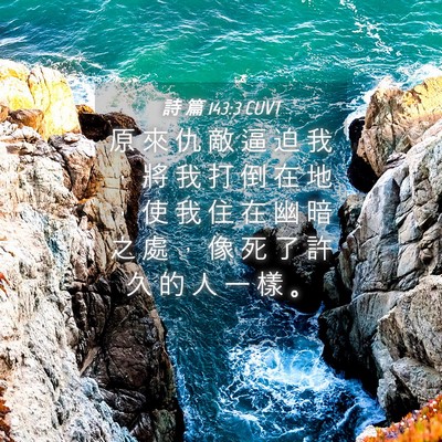 Picture 04 - 詩 篇 143:3 CUVT - 原 來 仇 敵 逼 迫 我 ， 將 我 打 倒 - Bible Verse Picture