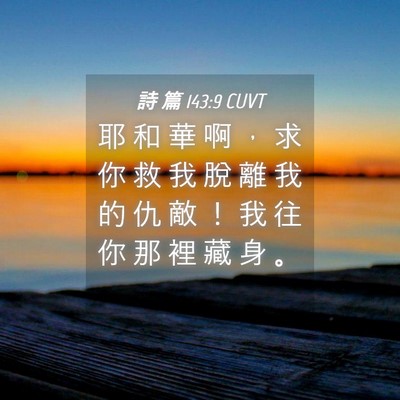 Picture 04 - 詩 篇 143:9 CUVT - 耶 和 華 啊 ， 求 你 救 我 脫 離 我 - Bible Verse Picture