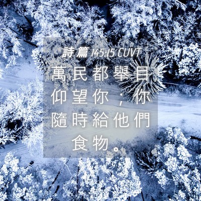 Picture 04 - 詩 篇 145:15 CUVT - 萬 民 都 舉 目 仰 望 你 ； 你 隨 時 - Bible Verse Picture