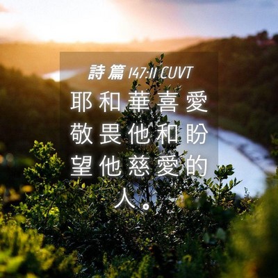 Picture 04 - 詩 篇 147:11 CUVT - 耶 和 華 喜 愛 敬 畏 他 和 盼 望 他 - Bible Verse Picture