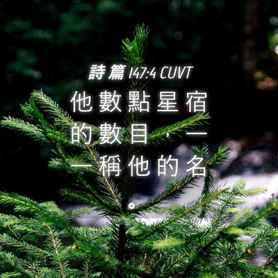 Picture 04 - 詩 篇 147:4 CUVT - 他 數 點 星 宿 的 數 目 ， 一 一 稱 - Bible Verse Picture