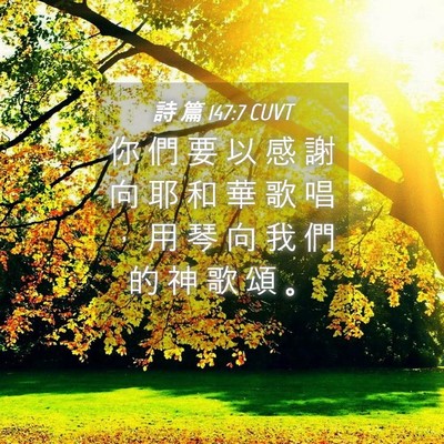 Picture 04 - 詩 篇 147:7 CUVT - 你 們 要 以 感 謝 向 耶 和 華 歌 唱 - Bible Verse Picture