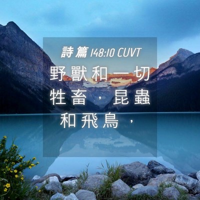 Picture 04 - 詩 篇 148:10 CUVT - 野 獸 和 一 切 牲 畜 ， 昆 蟲 和 飛 - Bible Verse Picture