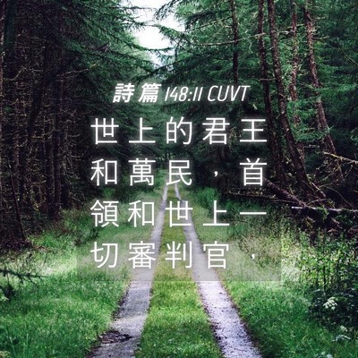Picture 04 - 詩 篇 148:11 CUVT - 世 上 的 君 王 和 萬 民 ， 首 領 和 - Bible Verse Picture