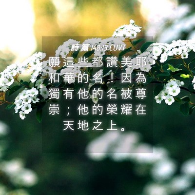 Picture 04 - 詩 篇 148:13 CUVT - 願 這 些 都 讚 美 耶 和 華 的 名 ！ - Bible Verse Picture