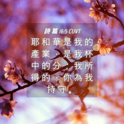 Picture 04 - 詩 篇 16:5 CUVT - 耶 和 華 是 我 的 產 業 ， 是 我 杯 - Bible Verse Picture