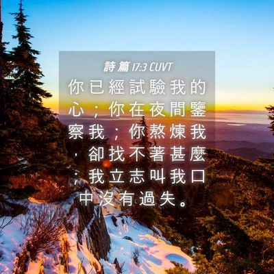 Picture 04 - 詩 篇 17:3 CUVT - 你 已 經 試 驗 我 的 心 ； 你 在 夜 - Bible Verse Picture