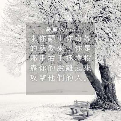 Picture 04 - 詩 篇 17:7 CUVT - 求 你 顯 出 你 奇 妙 的 慈 愛 來 ； - Bible Verse Picture