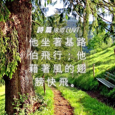 Picture 04 - 詩 篇 18:10 CUVT - 他 坐 著 基 路 伯 飛 行 ； 他 藉 著 - Bible Verse Picture