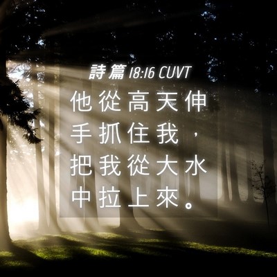 Picture 04 - 詩 篇 18:16 CUVT - 他 從 高 天 伸 手 抓 住 我 , 把 我 - Bible Verse Picture