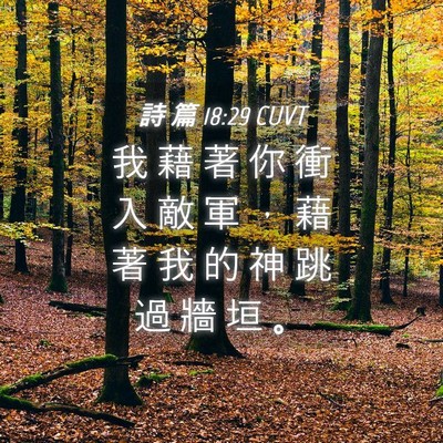 Picture 04 - 詩 篇 18:29 CUVT - 我 藉 著 你 衝 入 敵 軍 ， 藉 著 我 - Bible Verse Picture