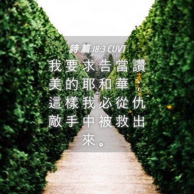 Picture 04 - 詩 篇 18:3 CUVT - 我 要 求 告 當 讚 美 的 耶 和 華 ； - Bible Verse Picture