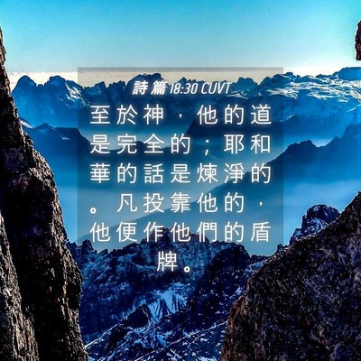 Picture 04 - 詩 篇 18:30 CUVT - 至 於 神 ， 他 的 道 是 完 全 的 ； - Bible Verse Picture