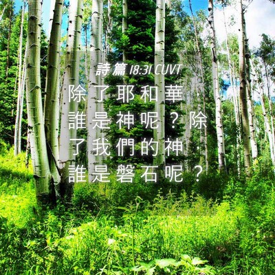 Picture 04 - 詩 篇 18:31 CUVT - 除 了 耶 和 華 ， 誰 是 神 呢 ？ 除 - Bible Verse Picture