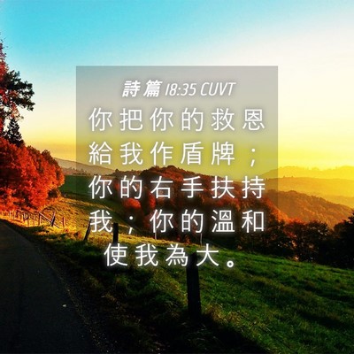 Picture 04 - 詩 篇 18:35 CUVT - 你 把 你 的 救 恩 給 我 作 盾 牌 ； - Bible Verse Picture