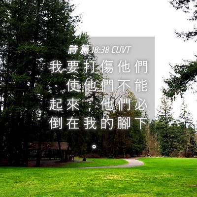 Picture 04 - 詩 篇 18:38 CUVT - 我 要 打 傷 他 們 ， 使 他 們 不 能 - Bible Verse Picture