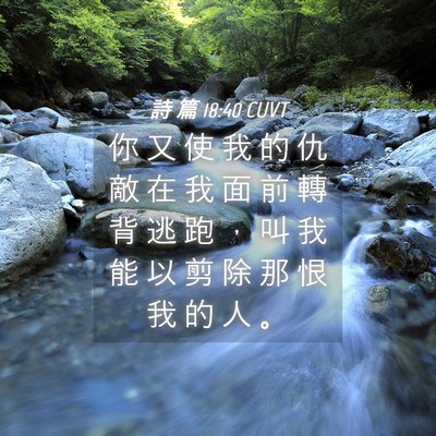 Picture 04 - 詩 篇 18:40 CUVT - 你 又 使 我 的 仇 敵 在 我 面 前 轉 - Bible Verse Picture