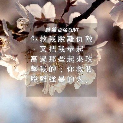 Picture 04 - 詩 篇 18:48 CUVT - 你 救 我 脫 離 仇 敵 ， 又 把 我 舉 - Bible Verse Picture