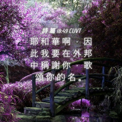 Picture 04 - 詩 篇 18:49 CUVT - 耶 和 華 啊 ， 因 此 我 要 在 外 邦 - Bible Verse Picture
