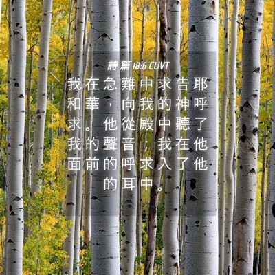 Picture 04 - 詩 篇 18:6 CUVT - 我 在 急 難 中 求 告 耶 和 華 ， 向 - Bible Verse Picture