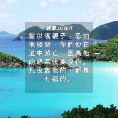 Picture 04 - 詩 篇 2:12 CUVT - 當 以 嘴 親 子 ， 恐 怕 他 發 怒 ， - Bible Verse Picture