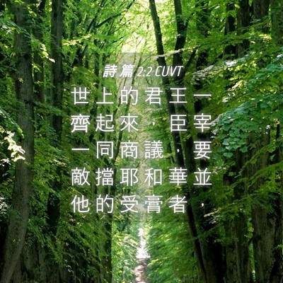 Picture 04 - 詩 篇 2:2 CUVT - 世 上 的 君 王 一 齊 起 來 ， 臣 宰 - Bible Verse Picture