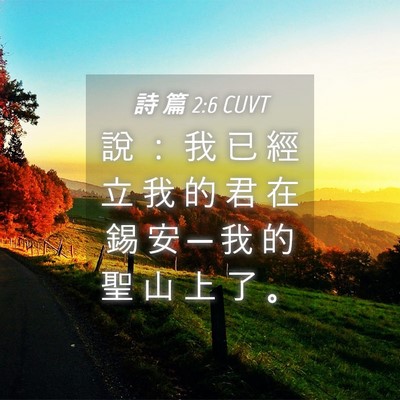 Picture 04 - 詩 篇 2:6 CUVT - 說 ： 我 已 經 立 我 的 君 在 錫 安 - Bible Verse Picture