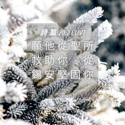Picture 04 - 詩 篇 20:2 CUVT - 願 他 從 聖 所 救 助 你 ， 從 錫 安 - Bible Verse Picture