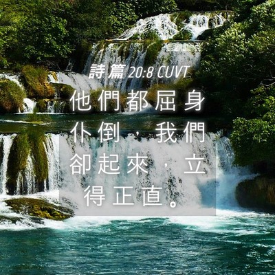 Picture 04 - 詩 篇 20:8 CUVT - 他 們 都 屈 身 仆 倒 ， 我 們 卻 起 - Bible Verse Picture