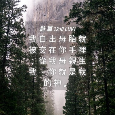 Picture 04 - 詩 篇 22:10 CUVT - 我 自 出 母 胎 就 被 交 在 你 手 裡 - Bible Verse Picture