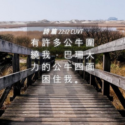 Picture 04 - 詩 篇 22:12 CUVT - 有 許 多 公 牛 圍 繞 我 ， 巴 珊 大 - Bible Verse Picture
