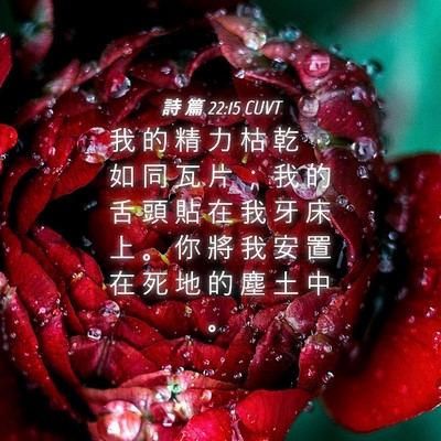 Picture 04 - 詩 篇 22:15 CUVT - 我 的 精 力 枯 乾 ， 如 同 瓦 片 ； - Bible Verse Picture