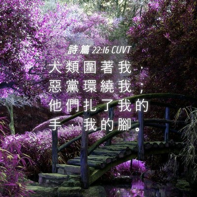 Picture 04 - 詩 篇 22:16 CUVT - 犬 類 圍 著 我 ， 惡 黨 環 繞 我 ； - Bible Verse Picture