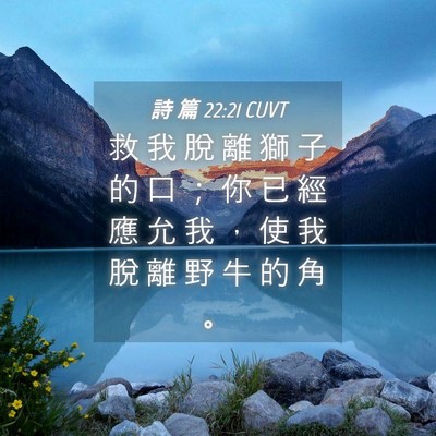 Picture 04 - 詩 篇 22:21 CUVT - 救 我 脫 離 獅 子 的 口 ； 你 已 經 - Bible Verse Picture