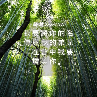 Picture 04 - 詩 篇 22:22 CUVT - 我 要 將 你 的 名 傳 與 我 的 弟 兄 - Bible Verse Picture