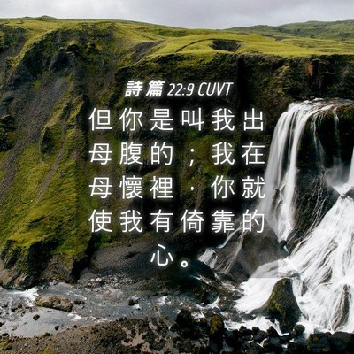 Picture 04 - 詩 篇 22:9 CUVT - 但 你 是 叫 我 出 母 腹 的 ； 我 在 - Bible Verse Picture