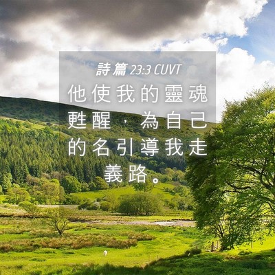 Picture 04 - 詩 篇 23:3 CUVT - 他 使 我 的 靈 魂 甦 醒 ， 為 自 己 - Bible Verse Picture