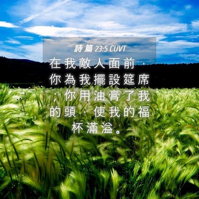 Picture 04 - 詩 篇 23:5 CUVT - 在 我 敵 人 面 前 ， 你 為 我 擺 設 - Bible Verse Picture