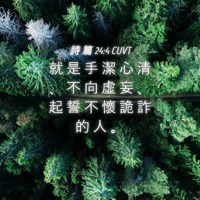 Picture 04 - 詩 篇 24:4 CUVT - 就 是 手 潔 心 清 、 不 向 虛 妄 、 - Bible Verse Picture
