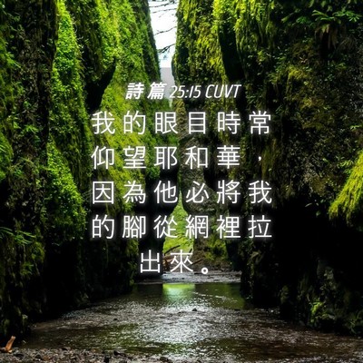 Picture 04 - 詩 篇 25:15 CUVT - 我 的 眼 目 時 常 仰 望 耶 和 華 ， - Bible Verse Picture