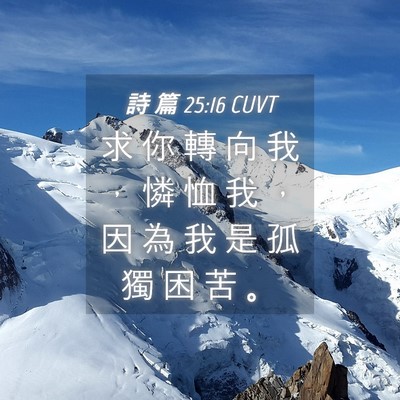 Picture 04 - 詩 篇 25:16 CUVT - 求 你 轉 向 我 ， 憐 恤 我 ， 因 為 - Bible Verse Picture