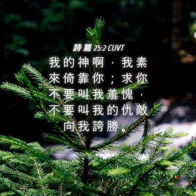 Picture 04 - 詩 篇 25:2 CUVT - 我 的 神 啊 ， 我 素 來 倚 靠 你 ； - Bible Verse Picture