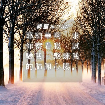 Picture 04 - 詩 篇 26:2 CUVT - 耶 和 華 啊 ， 求 你 察 看 我 ， 試 - Bible Verse Picture