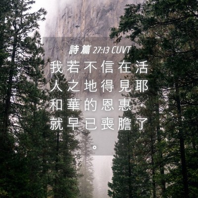 Picture 04 - 詩 篇 27:13 CUVT - 我 若 不 信 在 活 人 之 地 得 見 耶 - Bible Verse Picture